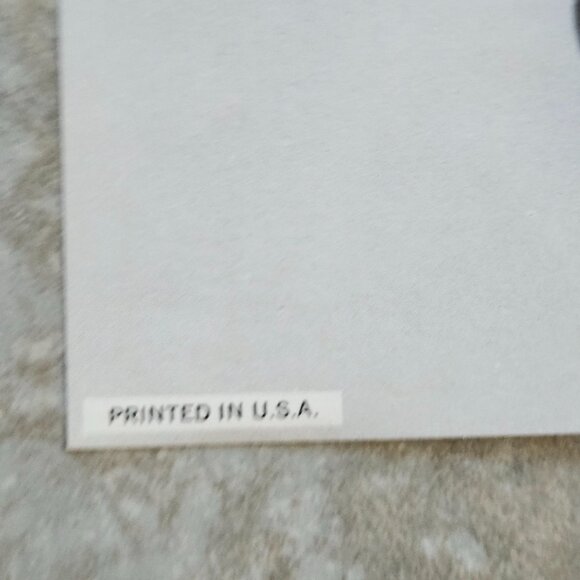 Peter Frampton Camel TriFold Insert Promo Poster 18x21.5 A&M Records SP-4389 - Picture 7 of 8